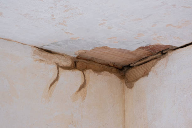 Best Water damage restoration company  in Wallingford Center, CT