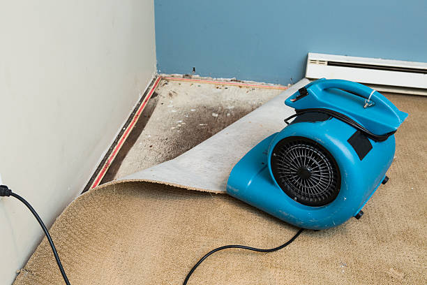 Local water damage restoration in Wallingford Center, CT